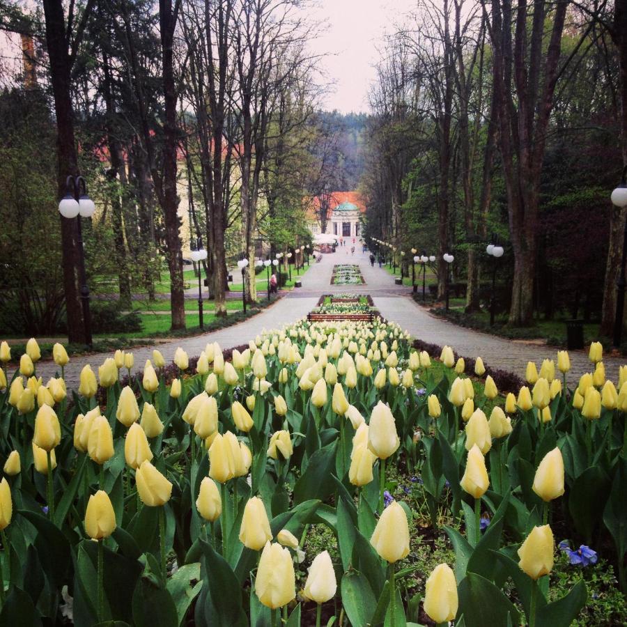 Villa Filmowiec Polanica-Zdrój Exterior foto